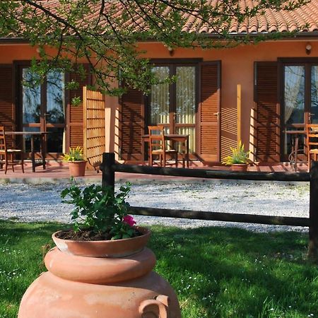 Erba Di Campo Residence Quercianella Exteriör bild